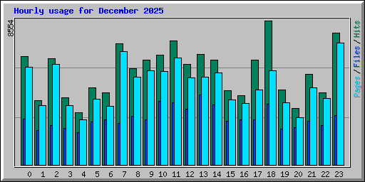 Hourly usage for December 2025
