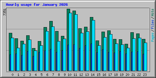 Hourly usage for January 2026