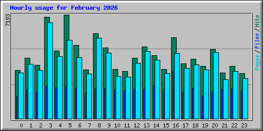Hourly usage for February 2026