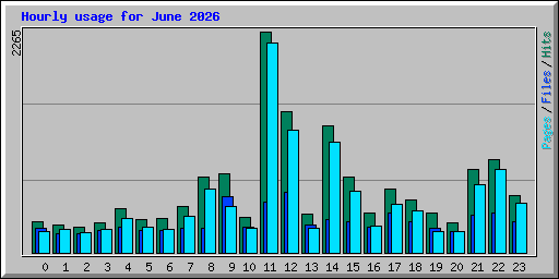 Hourly usage for June 2026